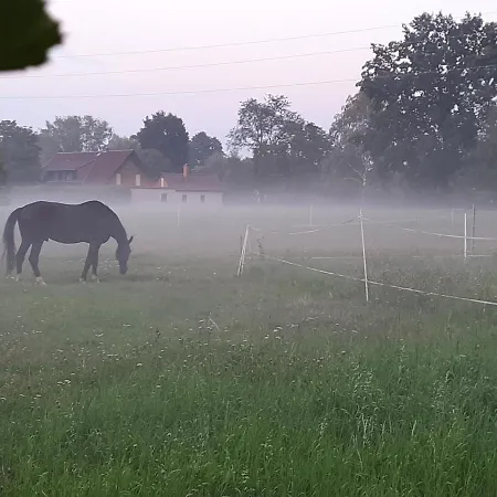 Auf Kleine Wiesen Lübbenau