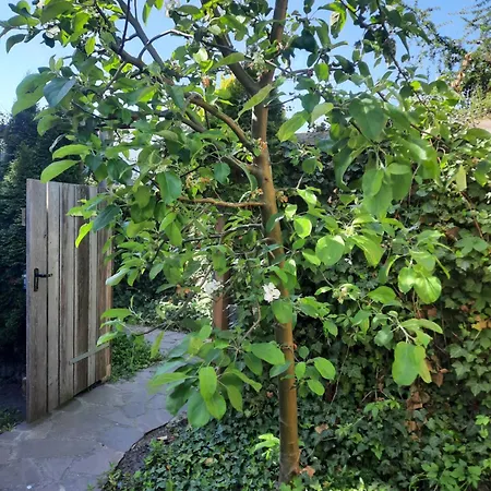 Gasthof Auf Kleine Wiesen Lübbenau